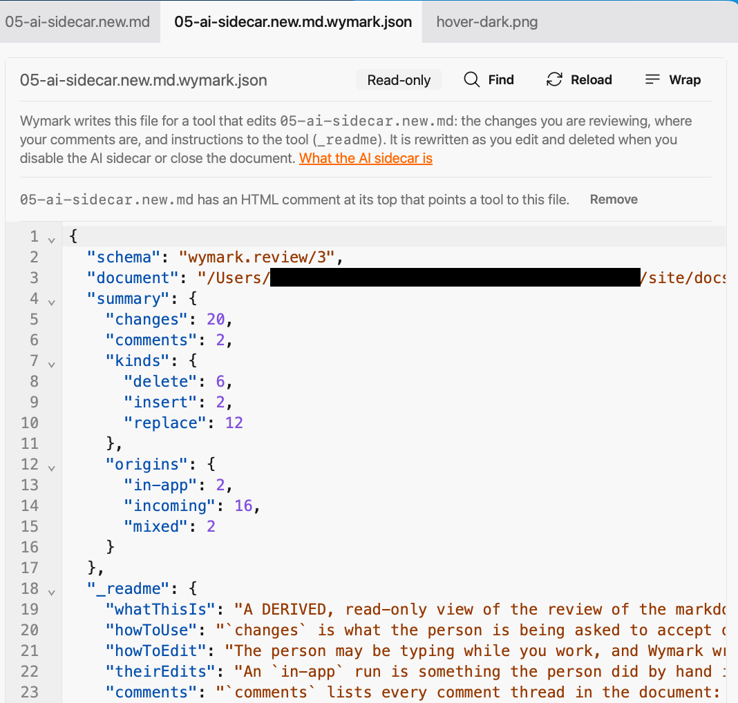 The sidecar file open in its own tab, marked Read-only, with Find, Reload and Wrap. A line above the JSON says what the file is for and when it is deleted, and another says the document has an HTML comment pointing to it, with a Remove button. The JSON begins with schema, document, a summary counting changes and comments, and the _readme.